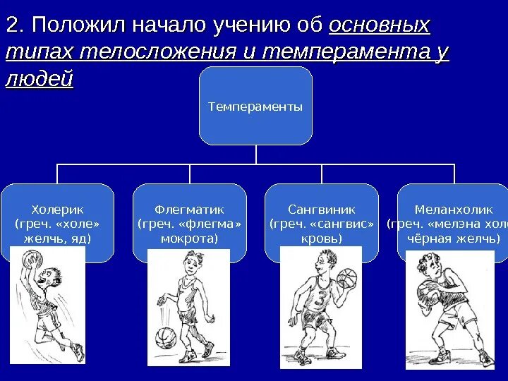 Тип темперамента и телосложение. Типы телосложения и темперамента. телосложение и темперамент. основные типы телосложения и темперамента по гиппократу. тип фигуры и темперамент.