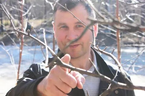 Врач волчков