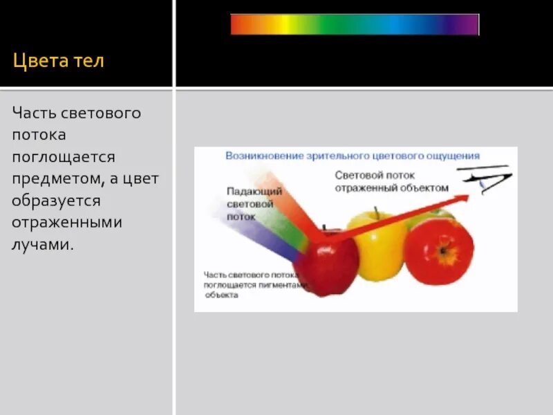 Какие тела мы видим. Свет отражается от предметов. Поглощение и отражение цвета. Цвет отражение света. Цвета непрозрачных тел.