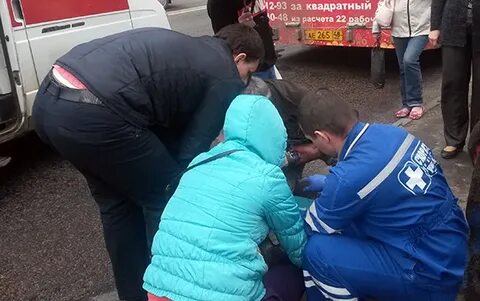 Автобус липецк кривец