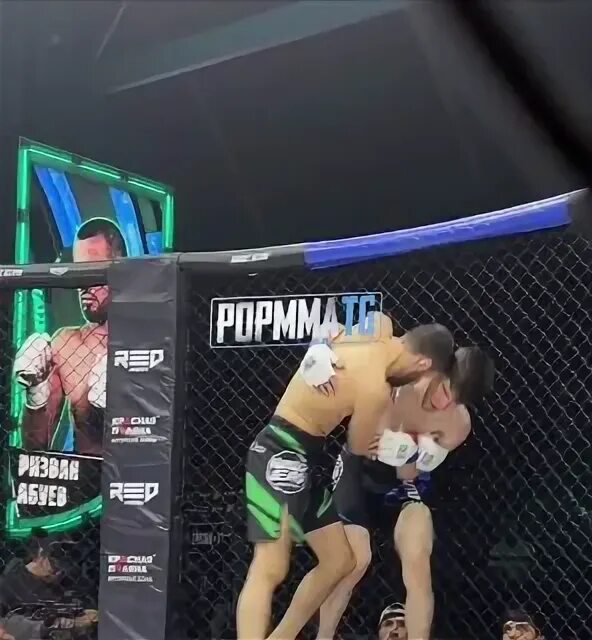 Мма тг канал. Мма тг канал. Мма тг канал. Германский поп мма. Логотип телеканал mma-tv.