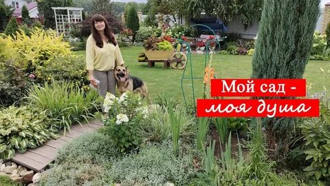 Отпуск на даче новые видео