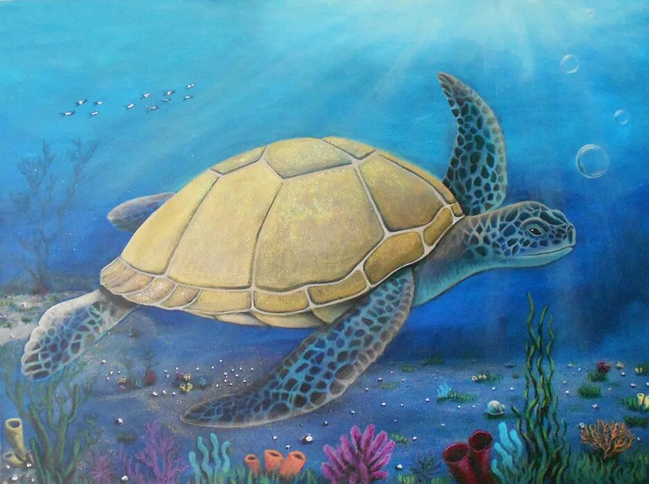 черепаха иллюстрация для книг. камиль сен санс черепахи. карнавал животных черепаха. сен санс черепахи. карнавал животных черепаха.