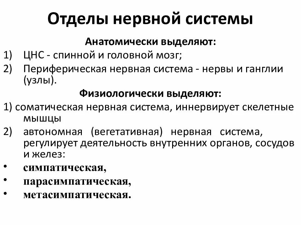 Какие функции выполняют отделы нервной системы. Отделы нервной системы и их характеристики. перечислите отделы нервной системы.. jтделы нервной системы. откдоы нервной системы.