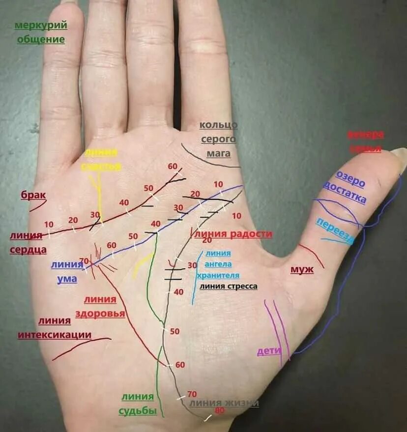 Линии на руке. Расположение линий на руке. Линия жизни на руке. Хиромантия линии на руке.