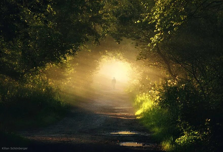 таинственные видения. мистические пейзажи. John atkinson grimshaw картины. фантастические арты. девушка в волшебном лесу.