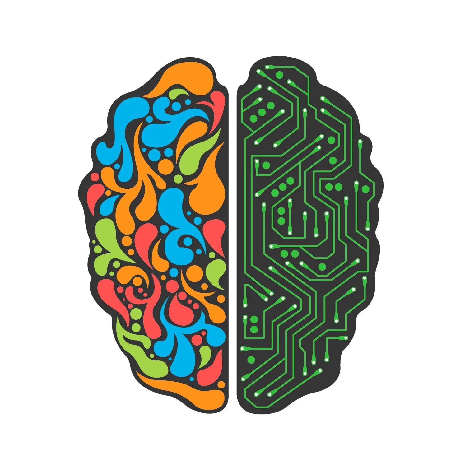 Картинка полушарие мозга. Латерализация полушарий мозга. Левое и правое полушарие мозга. Креативный мозг. Асимметрия мозга.