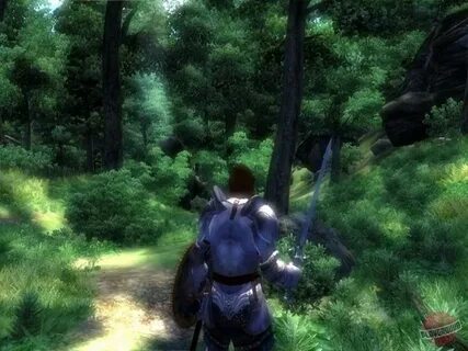 Oblivion overlord