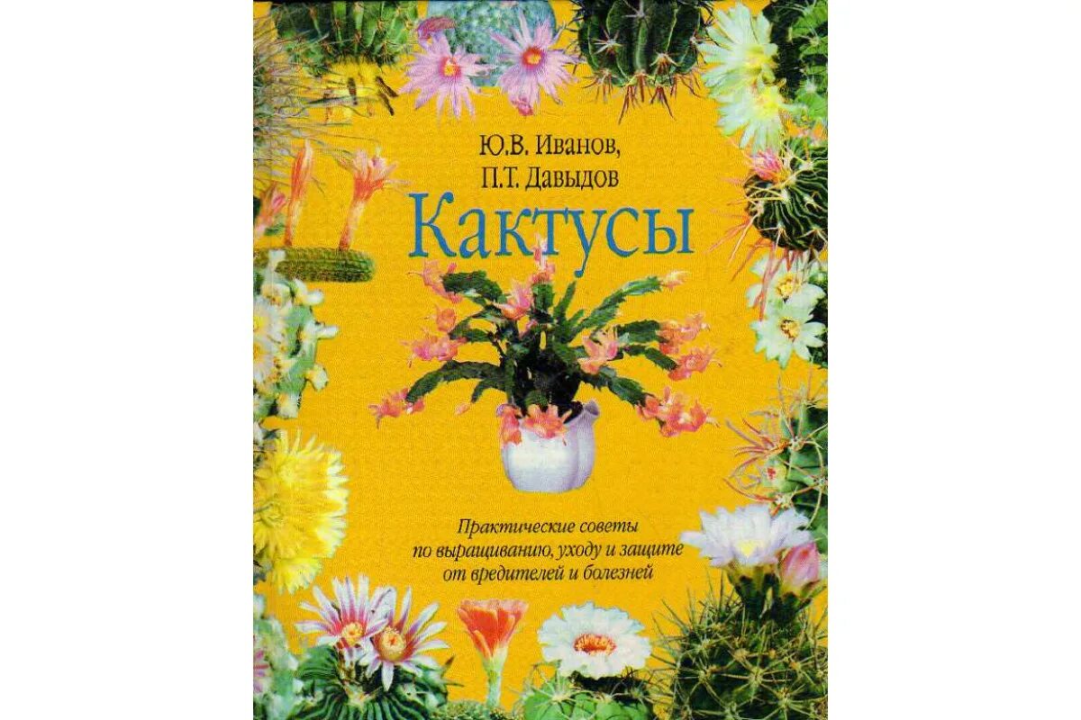 Интересные кактусы. Книги про кактусы. Кактусы уникальная энциклопедия. Книга про кактусы. Книги про кактусы.