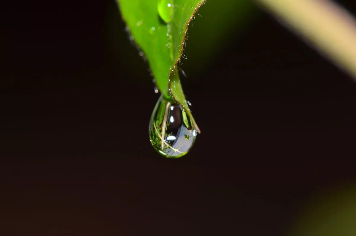 Капля воды слушать