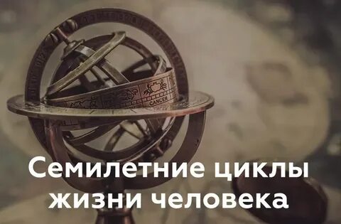 8 цикл жизни