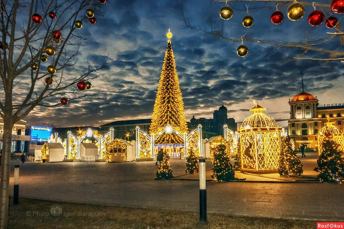 новогодняя елка в белгороде на площади 2023. елка в белгороде 2022 на площади. елка на улице. елка белгород 2023 соборная площадь. новогодние украшения.
