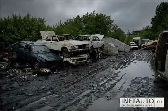 Автосвалка бентли. Автосвалка в японии. Кладбище автомобилей в европе. Кладбище заброшенных автомобилей в сша. Свалка машин в москве.