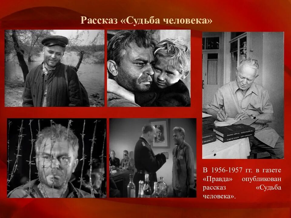Судьба человека Михаила Шолохова. Шолохов судьба человека 1956.