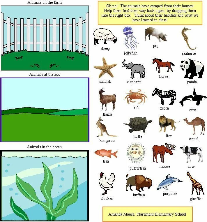 Do you like the zoo. Animals and their Habitats. Animal Habitats for Kids. Animals and their Habitats Worksheets. Animal Habitats Worksheets for Kids.