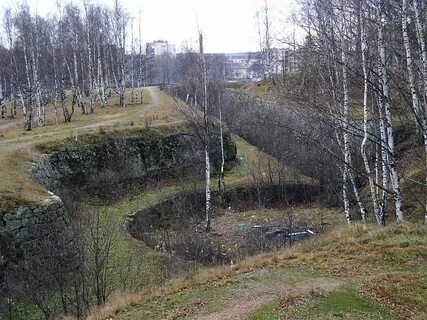Восточно выборгский