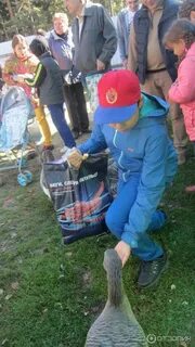 Ногинск мамонтово