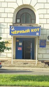 Черный кот череповец