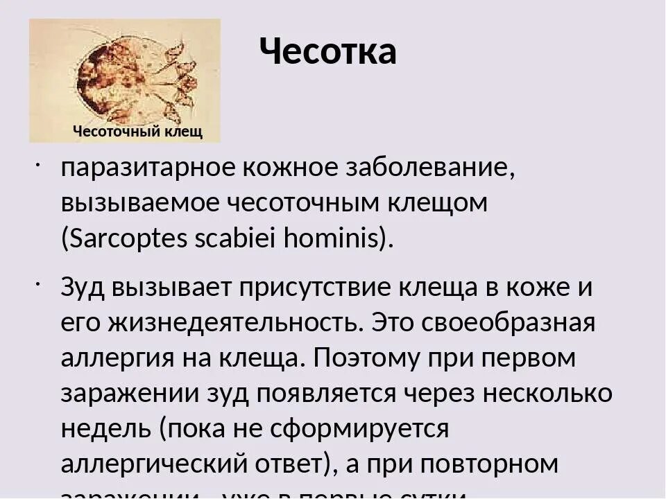 Сколько живет чесоточный. Поражение кожи чесоточным клещом. Заболевания кожи чесотка. Чесотка возбудитель заболевания.