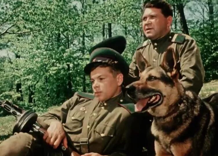Над тиссой актеры и роли фото Фото: Над Тиссой / Скриншот фильма "Над Тиссой" (1958) #1384732