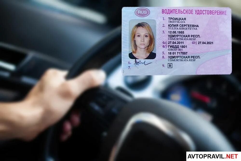 Получение новое водительский. Картинки водительских прав.