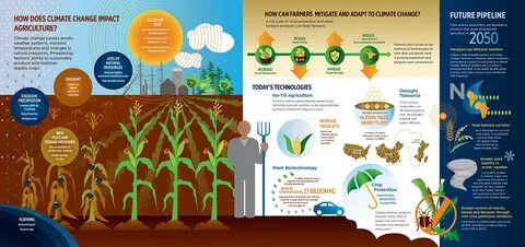 Plant impact