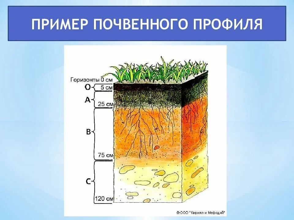 Структура почвы это в географии 8 класс. 4 строение почвы. Общее строение почвы. Схема заложения почвенного разреза. Строение почвы подвесные горезонты.