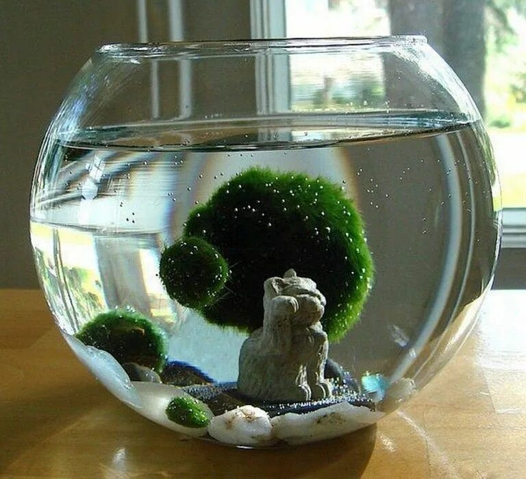Что можно сделать из старого круглого аквариума Amazing DIY Mini Fairy Garden for Miniature Landscaping 57 Мини сады, Идеи посад