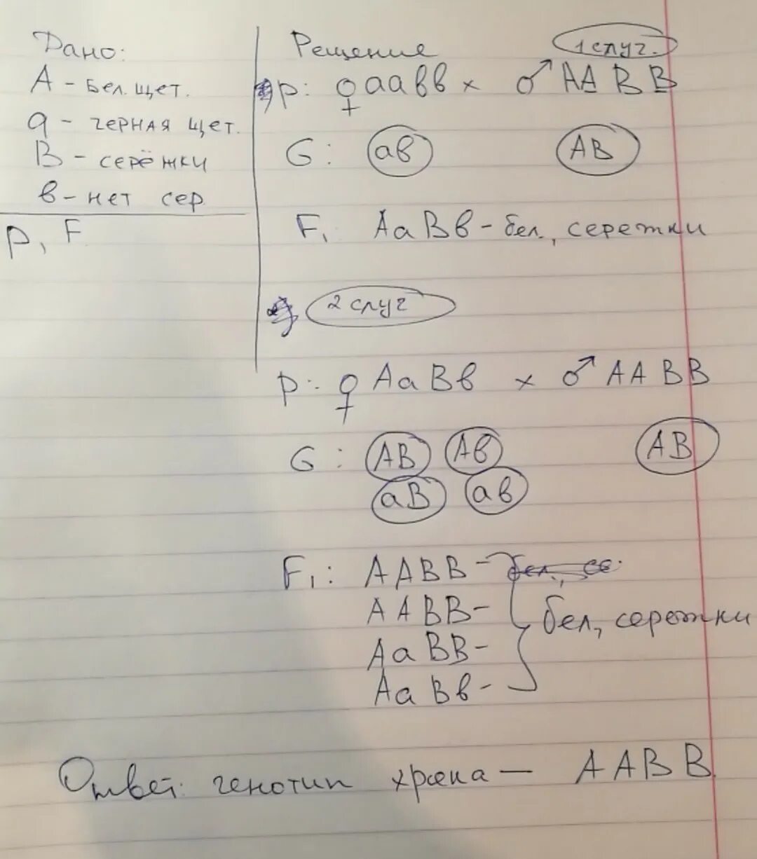 При скрещивании чёрных и белых свиней. Среди потомства от скрещивания двух свиней с белой щетиной. У свиней черная окраска щетины доминирует над рыжей длинная. Белая щетина у свиней доминирует над черной. Бородатая свинья с острова борнео.
