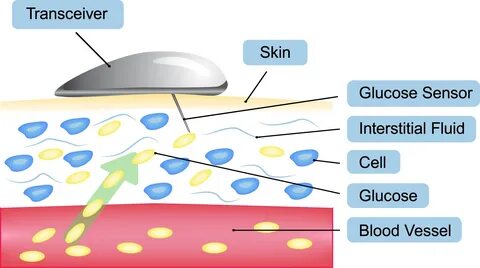 Fluid skin