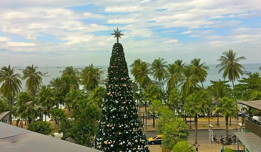 Тайский новый год на пхукете. Новый год в Тайланде. Новогодняя елка в Тайланде. Елка Пальма. Рождество в Тайланде.