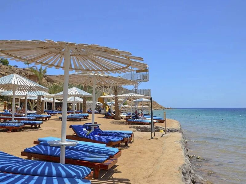 Фан сан шарм шейх. Royal albatros aqua park. albatros aqua park sharm 5. альбатрос аква парк шармаль шейх 5. albatros sharm пляж.