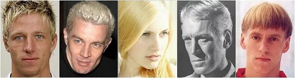 северный тип женщины. северный тип людей. северный тип людей. восточный нордид раса. север тип личности.