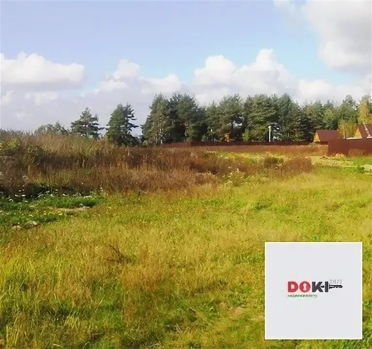 Погода в леоново московская область. Деревня леоново. деревня леоново московская область. деревня леоново горьковское.