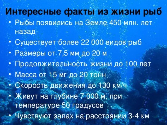 6 класс русский язык рыб. Факты о рыбах. Самые интересные факты о рыбах. Факты о необычных рыбах. Интересныетфакты о ры.Ах.