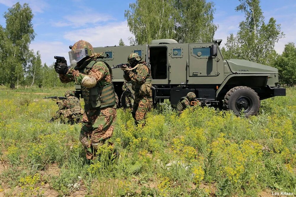 Камаз 4386 тайфун. Урал тайфун цсн. 604 цсн витязь бтр 80. Бтр 80 спецназ витязь. Техника специального назначения.