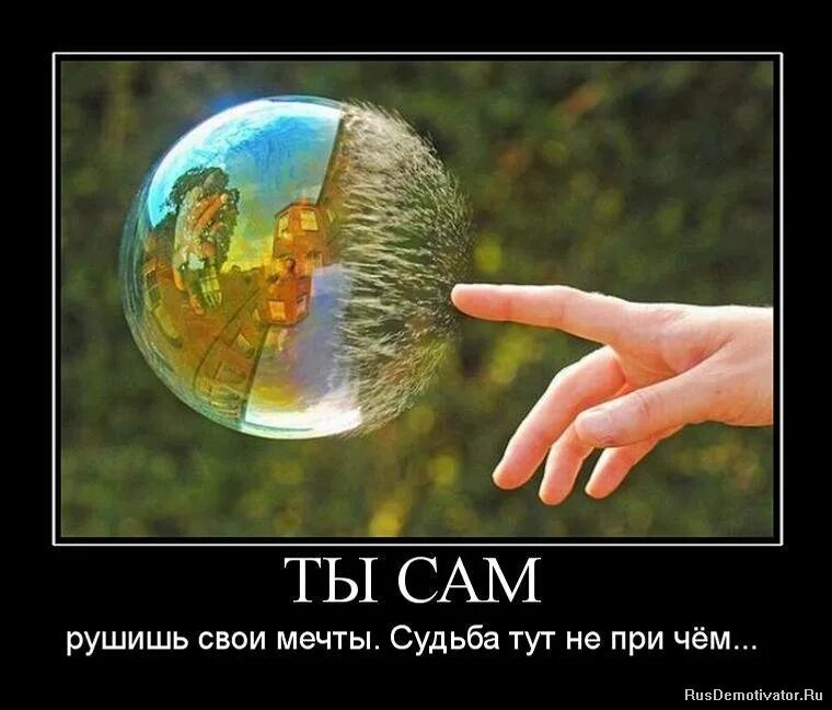 Мы сами выбираем жизнь. У каждого свой мир. мы сами творим свою судьбу. у каждого своя судьба. мы сами выбираем свою жизнь.