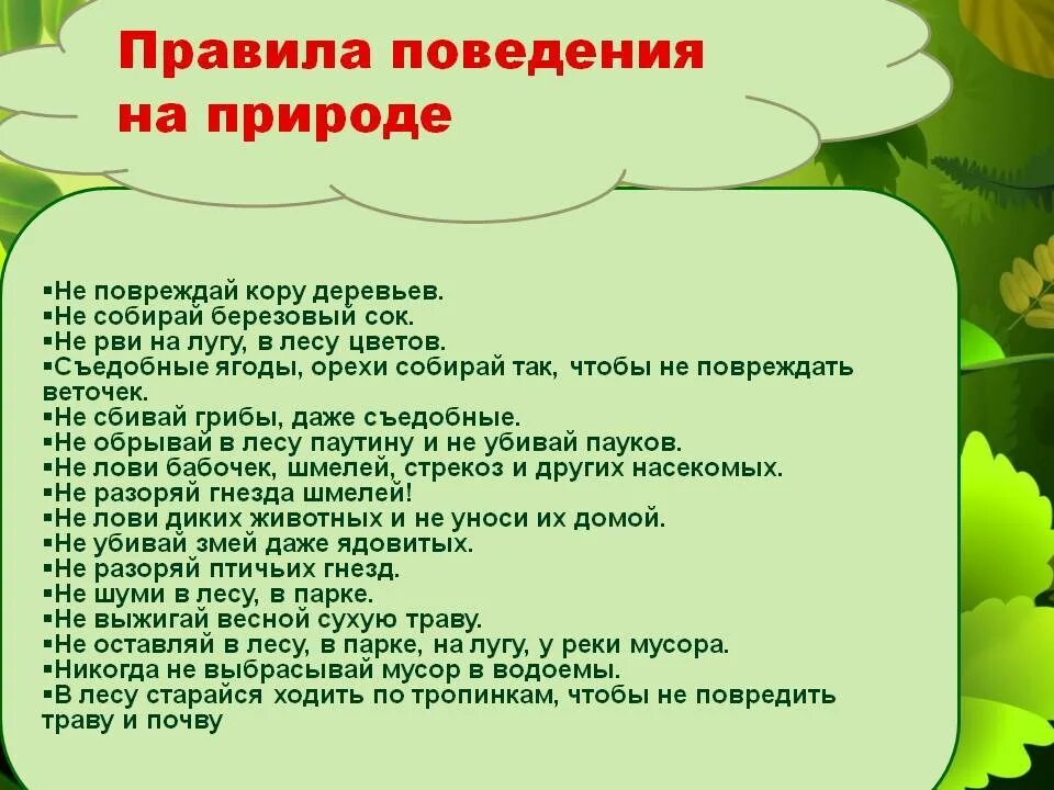 Правила разумного поведения человека в природе. Правила поведения на природе. Правила поведения втприроде. Правила поведения на прирол. Правила поведения намприроде.