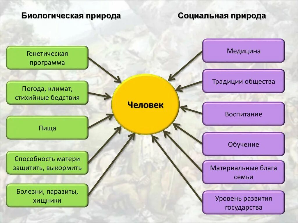 К природным способностям относятся. Социальная природа человека. Биологическая и социальная природа человека. Качества человека социальной природы. Проявление социальной природы человека.