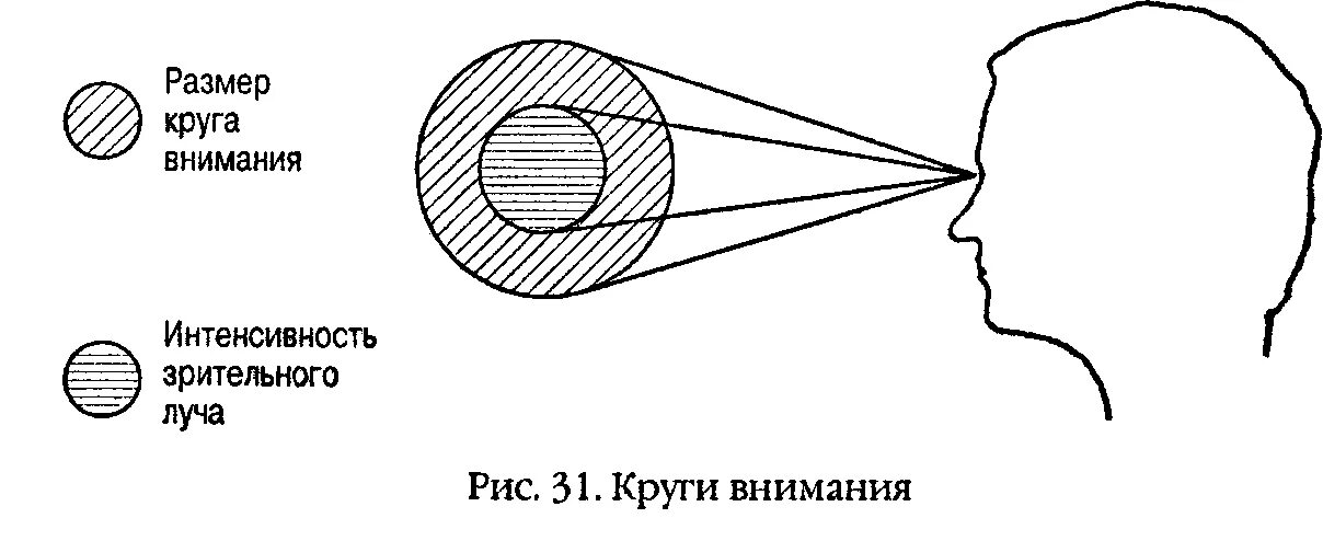 Интенсивность внимания. Интенсивность внимания в психологии. Интенсивность внимания пример. Круги внимания. Быть в круге внимания