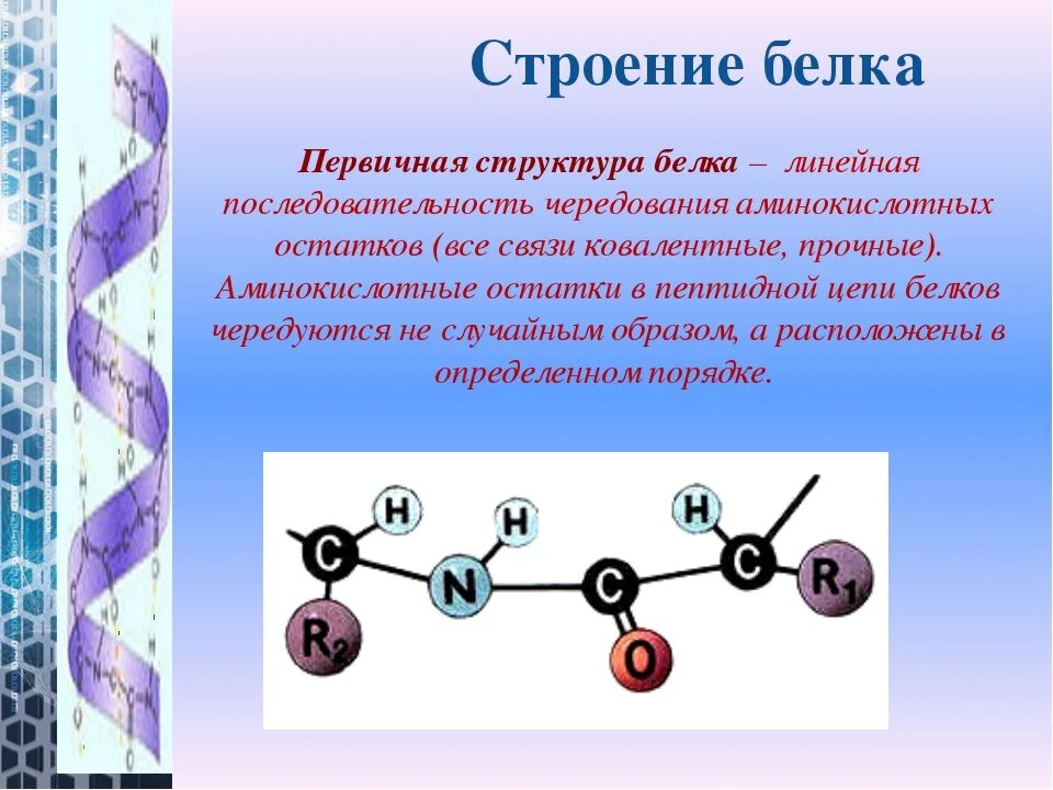 Задачи на белок биология. Строение белков. Строение белка. Белки строение. Белки строение белков.