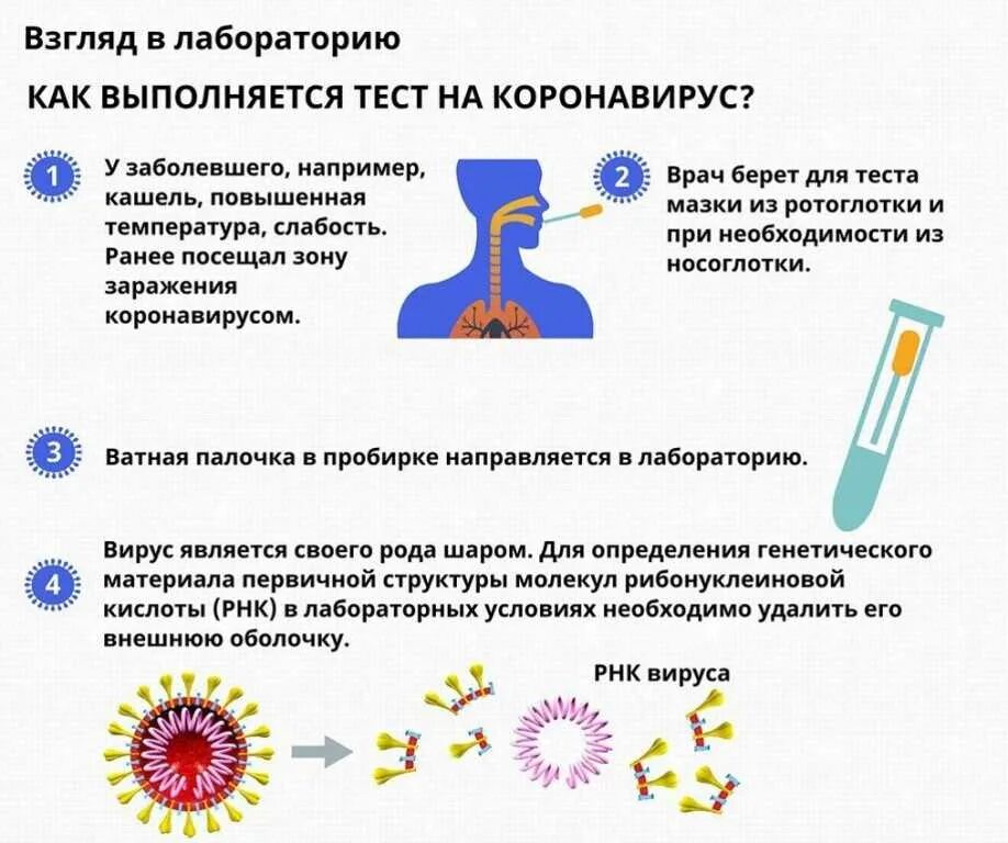 Тесть на картона виррус. Как делают тест на коронавирус. Тестирование детей на коронавирус. Что делают на тесте на коронавирус