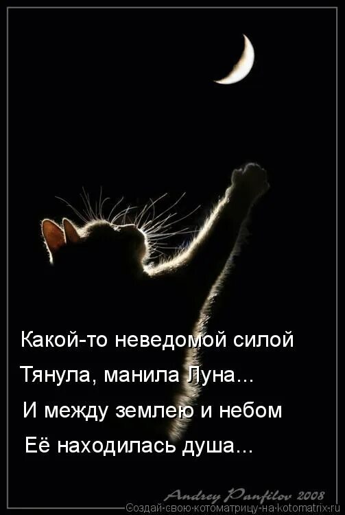 Неведомая сила. Неведомая сила потянуло. Неведомая сила картинки. Неведомая сила тащит меня. Неведомая сила текст