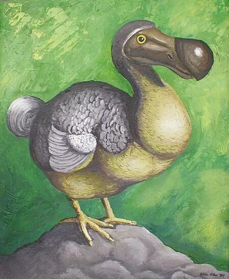 Дронт медиум. Дронт эдвард. Дронт придворный 5. Дронт медиум. Додо птица герб.