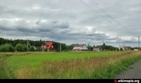 Погода в заозерье гатчинского