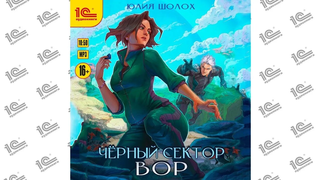 Шолох книга. Академия буря. Шолох книга. Аудиокнига курсантка с фермы. Шолох орден сумрачной.