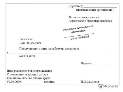 Заявление на прием работу директора образец