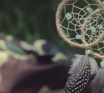 Ловец снов найти оазис