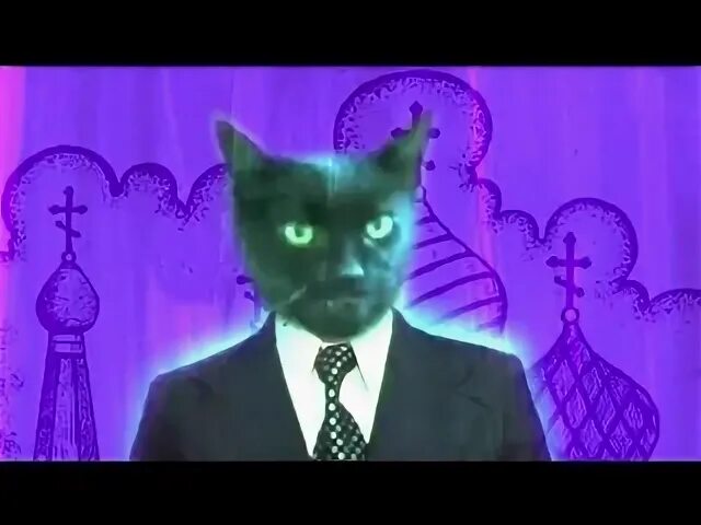 Enjoykin коты