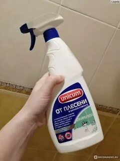 Чем отмыть плесень